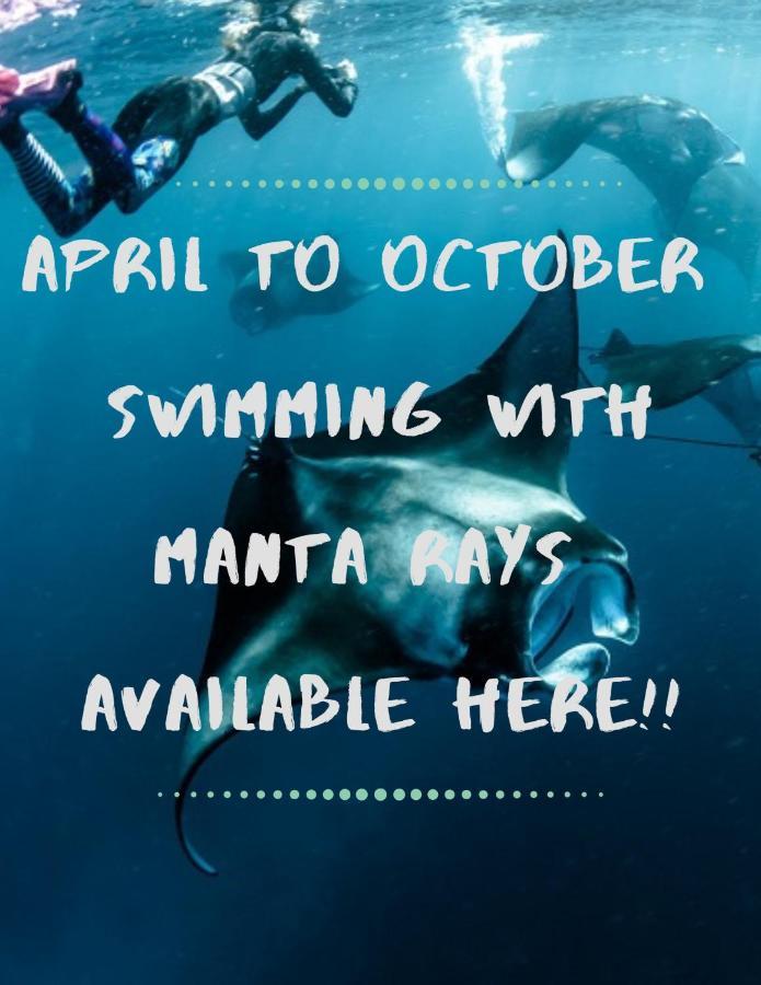 White Sandy Beach-Best Manta Snorkeling Tethi 외부 사진